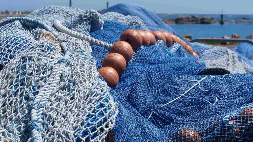 Blue economy, il Lazio punta su innovazione e intelligenza artificiale