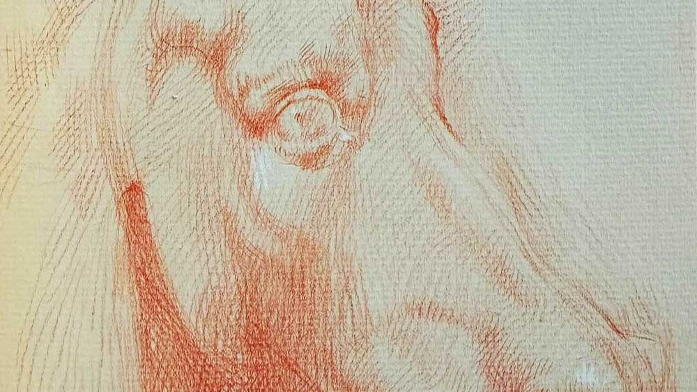 Dove nasce lo sguardo, il racconto di un artista che insegna a vedere